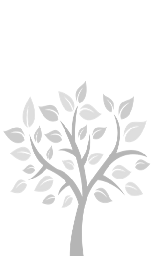 shape-footer